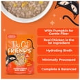 thumbnail image 5 of Tiki Cat Friends Wet Cat Food, Chicken & Pumpkin, 2.5 oz. Pouch, 5 of 9