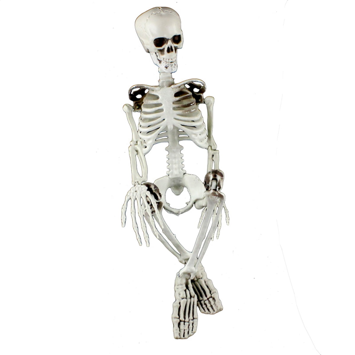 Halloween Skeleton, Full Body Halloween Skeleton, Skeleton with Movable Joints for Halloween