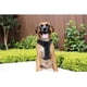 thumbnail image 4 of A pets life Arnés con Banda Reflejante para Perro(XL, Negro) A Pets Life HARNE-024, 4 of 7