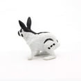 thumbnail image 6 of Papillon Rabbit, 6 of 6