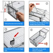 Gustave 2Pcs Rat Trap Cage Humane Mouse Traps Animal Pest Mouse Control Bait Catch -11*5.5*4.3 inch