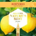 thumbnail image 4 of Burt's Bees Detangling Spray Conditioner for Dogs, 4 of 10