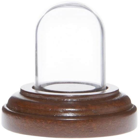 Plymor Miniature 1" x 1.5" Mini Glass Display Dome TINY Cloche (Walnut Base)