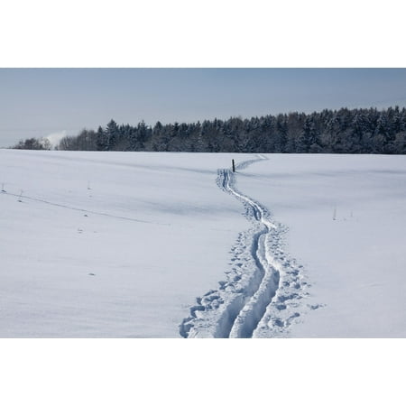 LAMINATED POSTER Snowy Ski Track Trace Sticks Cross Country Skiing Poster Print 24 x (Best Off Track Cross Country Skis)