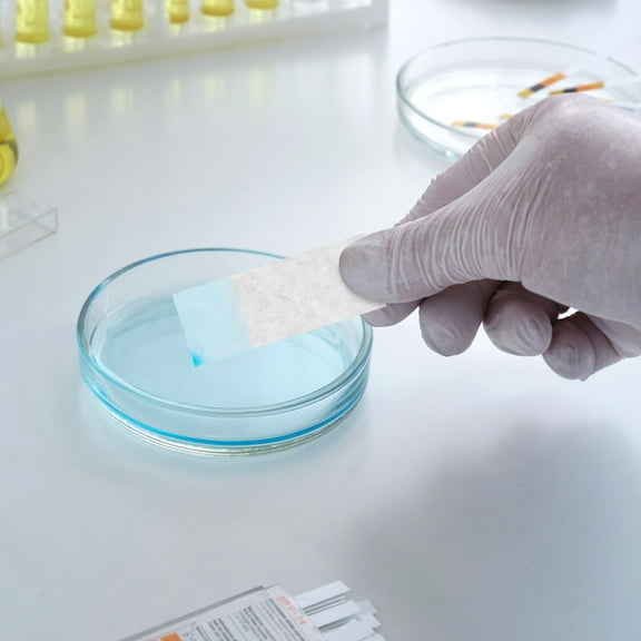 Beaupretty 200Pcs Science Experiment p White Filter Paper for Researchers and Students