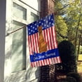 thumbnail image 2 of Carolines Treasures BB3057CHF Patriotic USA Irish Terrier Flag Canvas House Size, 2 of 4