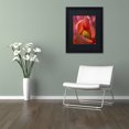 thumbnail image 3 of Trademark Fine Art "Glowing Tulip" Canvas Art by Kurt Shaffer, Black Matte, Black Frame, 3 of 4