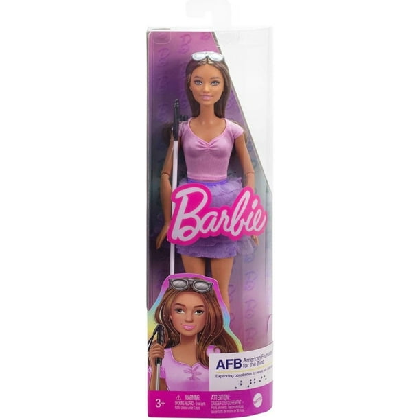Muñeca Barbie Fashionista Invidente HRH17 MATTEL