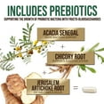 thumbnail image 6 of Probiotics 50 Billion CFU per Serving - 10 Strains + Prebiotics - Digestive Health, Gut & Immune Support - Occasional Constipation, Gas & Bloating Support for Women & Men, Bottled USA - 60 Capsules, 6 of 10