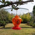 thumbnail image 4 of Glass Squirrel Baffle for Bird Feeders Pole, 4 of 5