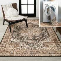 JONATHAN Y WASHABLE 5 x 8 Area Rug, Chapell Chenille Medallion - Black/Terra, WSH203A-5