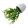 thumbnail image 4 of Fresh Fresh Artificial Foliage Desktop Plant Potted Mall, 4 of 9