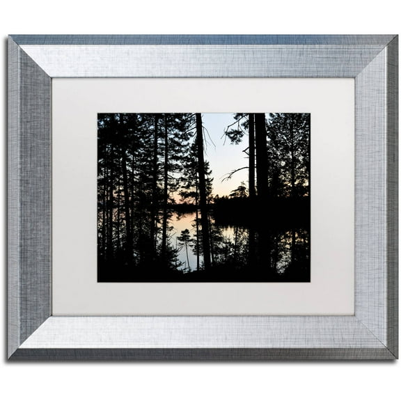 Trademark Fine Art 'Sunset Through the Trees' Canvas Art by Nicole Dietz, White Matte, Silver Frame