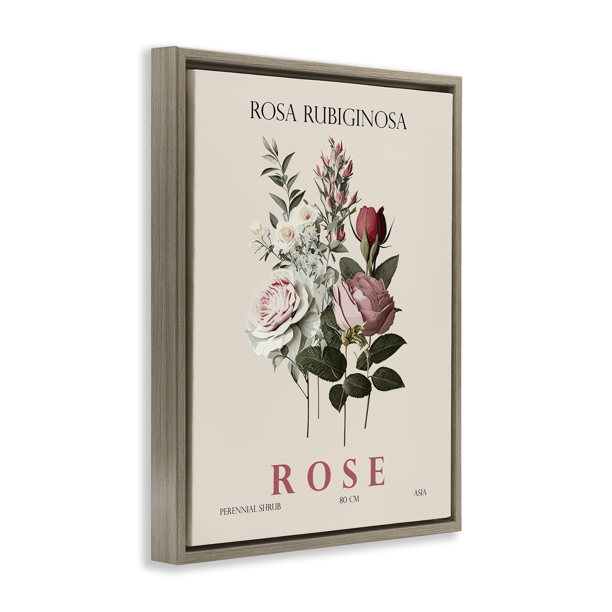 Stupell Industries Natural Rose Bundle Brown Framed Floater Canvas Wall Art, design by Christopher Giampietro