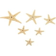 thumbnail image 7 of Starfish Assortment (30Pc) - Craft Supplies - 30 Pieces, 7 of 7