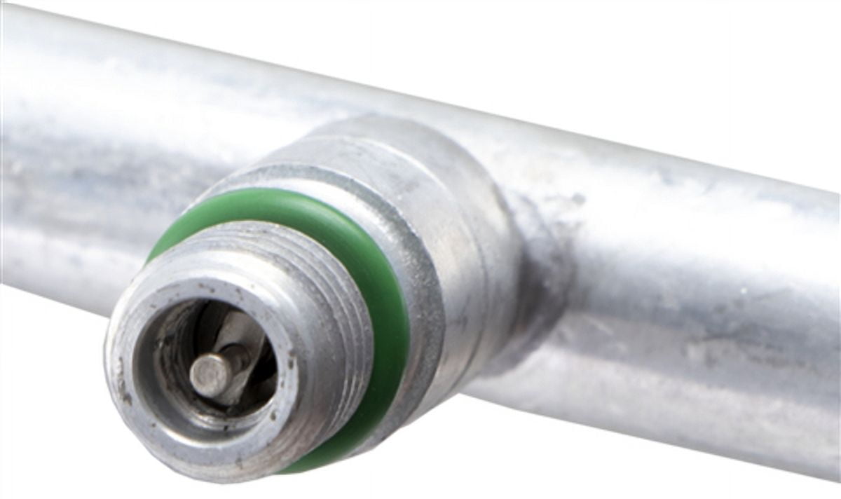 Discharge Line Hose Assembly