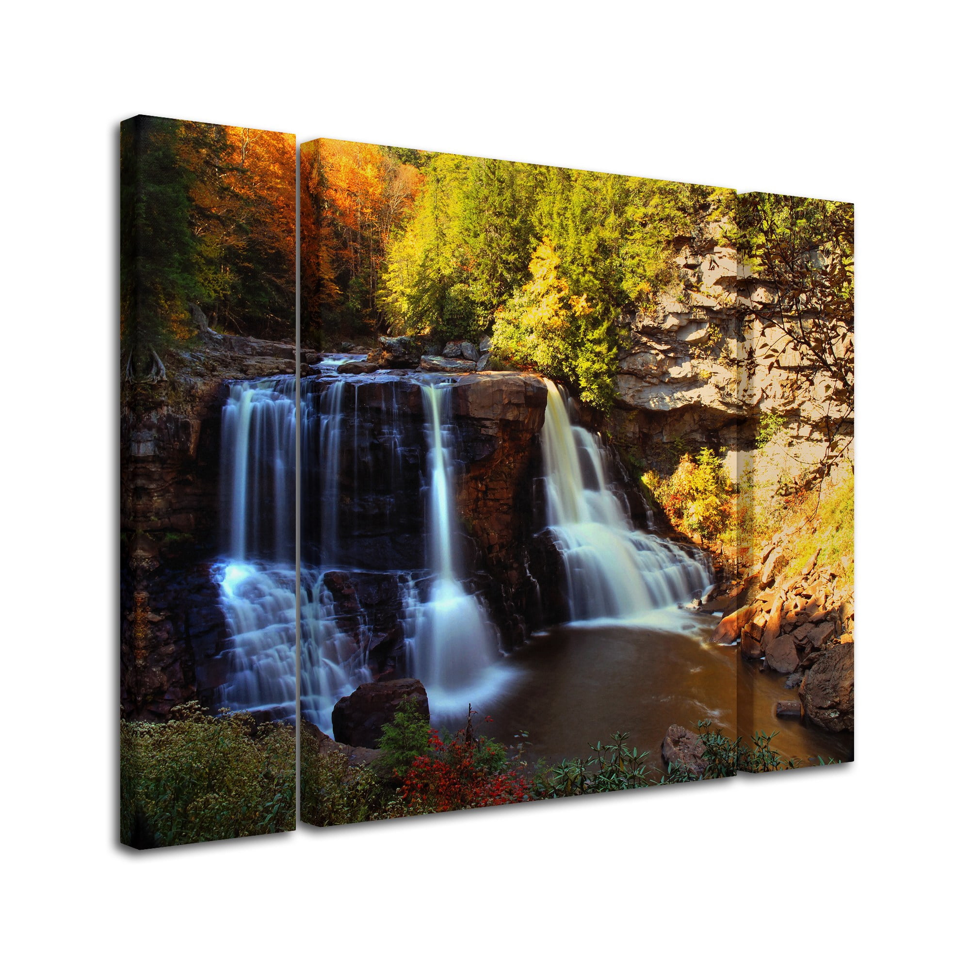 Trademark Fine Art "Motion" Canvas Art by CATeyes Three Panel Set