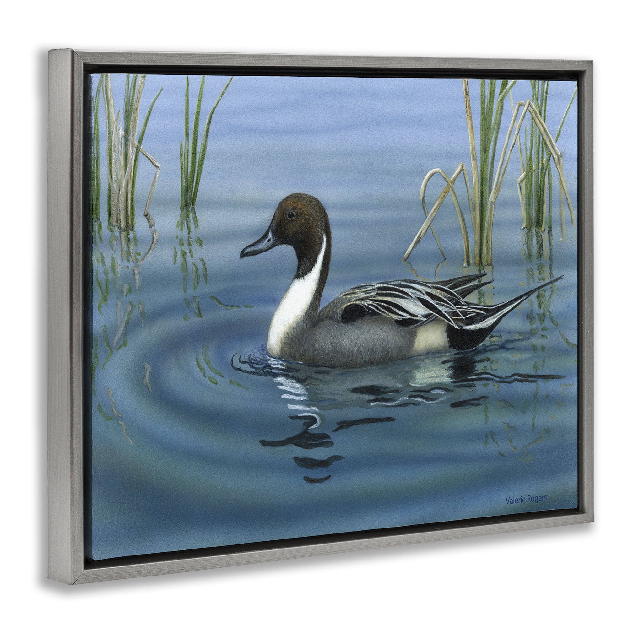 Stupell Industries Pintail Loon in Pond Animals Painting Gray Floater Framed Canvas Art Print Wall Art, 21 x 17