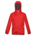thumbnail image 3 of Regatta Great Outdoors - Chubasquero plegable modelo Lever II para niños (Verde Pacífico), 3 of 6