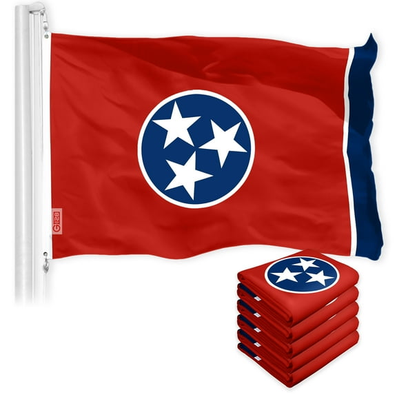 Tennessee TN State Flag 3x5FT 5-Pack 150D Printed Polyester By G128
