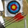 thumbnail image 5 of Uxcell Arrows Vanes 30 Pack 4 Inch Arrow Turkey Feather Right Wing Black for DIY Target Shooting, 5 of 6