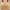Beige C, variant on 2024 Summer Savings! Bras for Womens,loopsun Women's Bra Soild Wire Free Underwear One-Piece Bra Everyday Small Cup Underwear