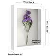 thumbnail image 5 of Americanflat 8x10 Shadow Box Frame with Shatter-Resistant Glass Silhouette Collection Large Display - White, 5 of 8