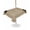 Beige, variant on Outdoor Tablecloth with Umbrella Hole for Patio/Picnic/Party/Camping, Black Animal Claws Waterproof Table Cloth Rectangle Table Cover Washable, Vintage Minimalist Linen Brown (60"x 84")