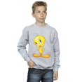 thumbnail image 2 of Looney Tunes Boys Tweety Standing Sweatshirt, 2 of 3