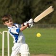 thumbnail image 5 of 1 Set Handheld Baseball Bat Practical Plastic Baseball Bat Stylish Plastic Stick for Baseball Sports Bat, 5 of 5