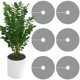thumbnail image 2 of 6 Pcs 15.7 Inch Plant Pot Grids-Cuttable Plant Pot Soil Covers Protectors from Animals-Indoor Plant Pot Soil Guard for Outdoor Garden Plant Protection, 2 of 5