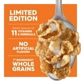 thumbnail image 4 of Kelloggs Special K Pumpkin Spice Cereal, Limited Edition, 12.6 oz Box, 4 of 9