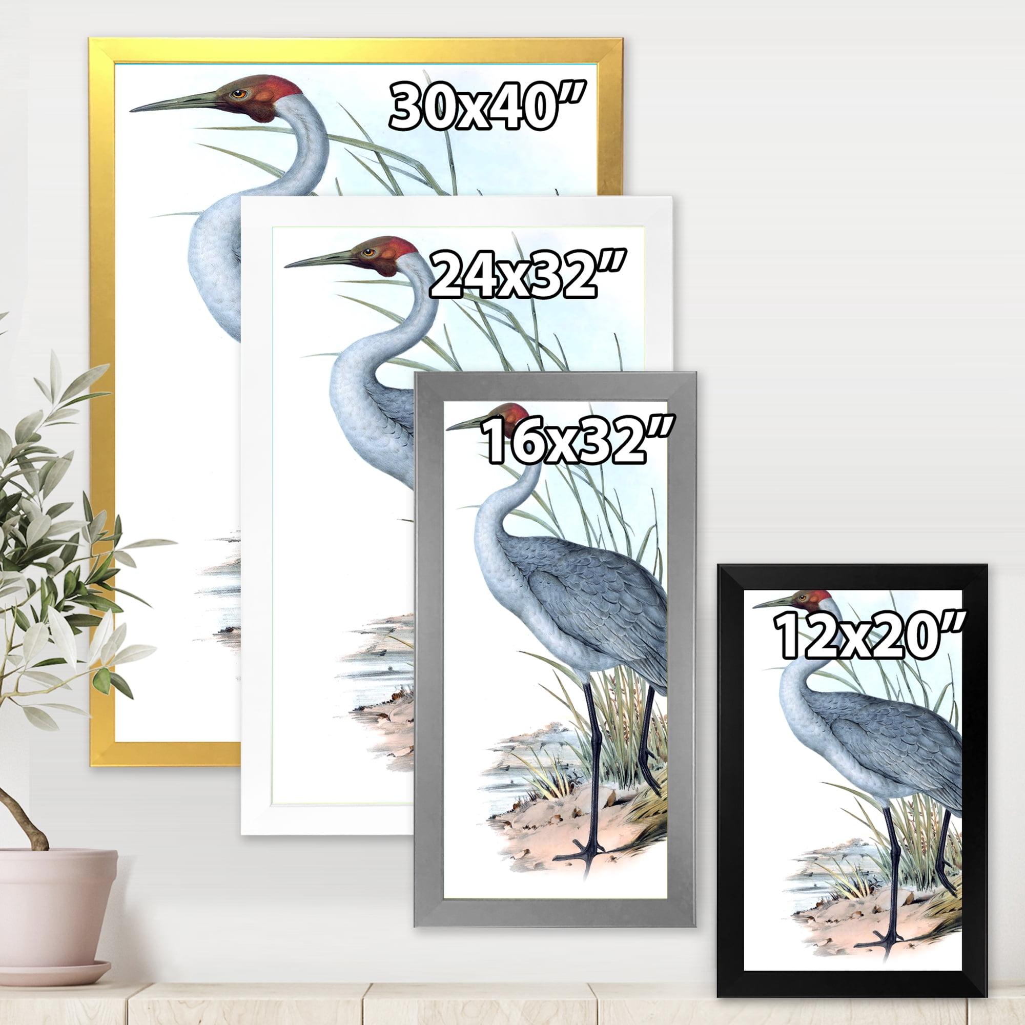 Designart 'Ancient Australian Birds V' Traditional Framed Art Print