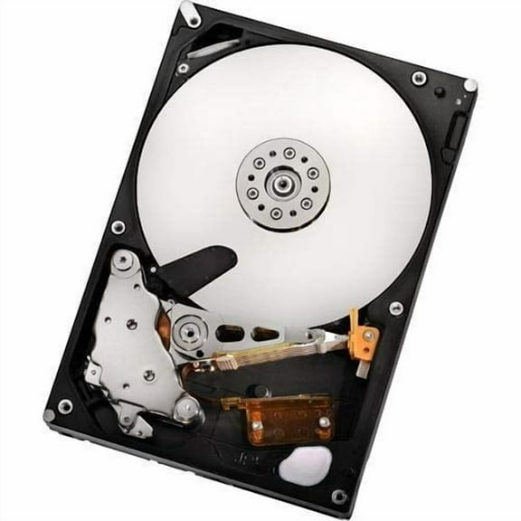 HITACHI 0A39289 Ultrastar A7K2000 1TB 7200 RPM 32MB cache SATA 3.0Gb/s 3.5 Enterprise internal hard drive (Bare Drive)