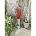 thumbnail image 6 of 25 psc - Branches - 73 cm, Natural Birch Twigs, Pack of 20-25 Stems, Long for Floor vases, (Orange-Red ), 6 of 13