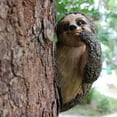 thumbnail image 4 of Sloth Sculpture, Innovative Simulation Lovely Hand Painted Waterproof Sloth Tree Hugger Decoration Resin  For Pond For Lawn For Garden, 4 of 8
