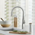 thumbnail image 3 of Rivana High-Arc Pull-Down Dual-Spray Kitchen Faucet - PVD Steel, 3 of 5