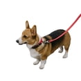 thumbnail image 4 of Duo Pack Collar y Correa Vibrant Talla Chica, 4 of 5