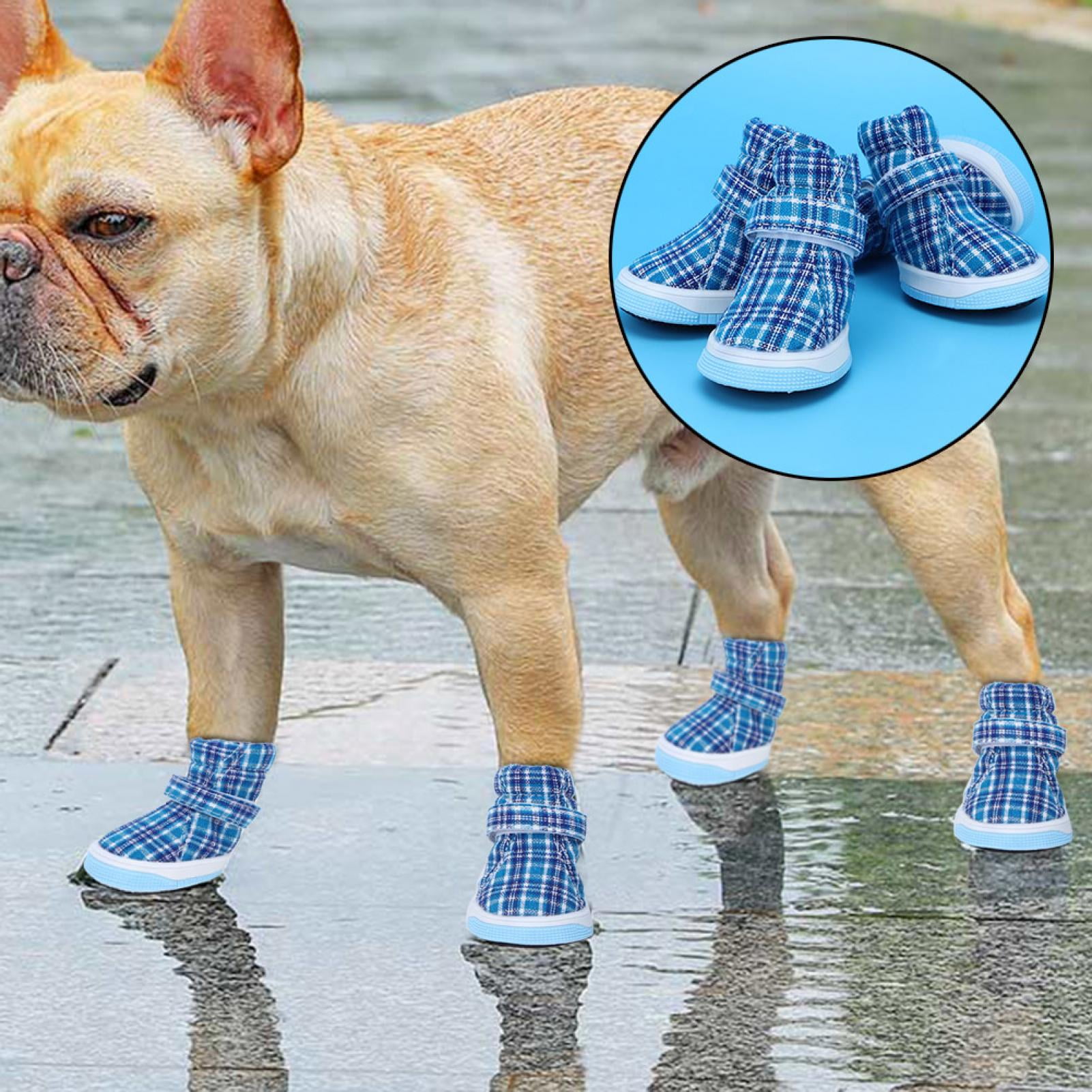 Zapatos para perros olx hotsell