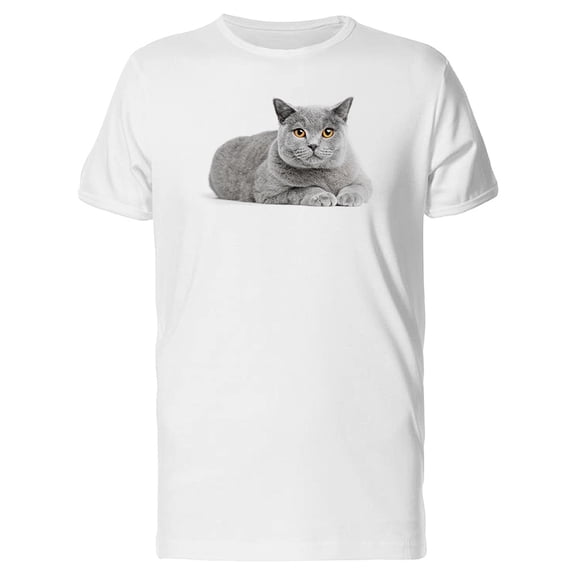 British Shorthair Looking At Cam Tee Men's -Image by Shutterstock