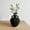 🔥 Black_Base#1402, variant on Modern Plastic Vase for Dried Flowers, Pampas | Black or White Decorative Vase 8.27x5.51x3.94 in | Lightweight, Durable Accent for Coffee Tables, Office Desks, Shelves, Living Room Decor