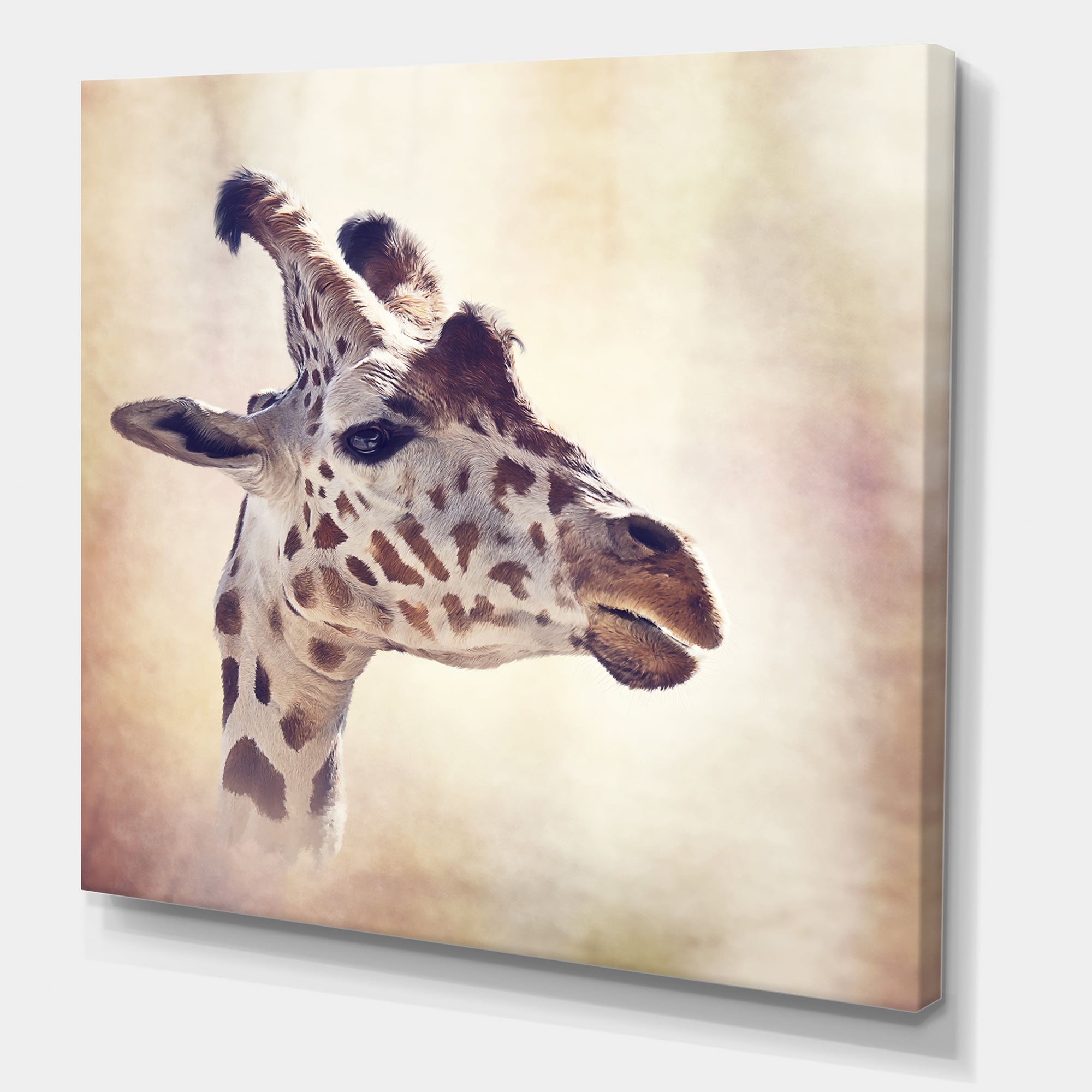 Close Up Portrait of A Giraffe VII 36 in x 36 in Photography Canvas Art Print, by Designart