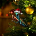 thumbnail image 5 of Christmas Ornaments for Tree Christmas Decorations Animal Pattern Decor Pendants 2D Flat Cartoon Animal Decorative (Praying Mantis), 5 of 8
