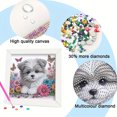 thumbnail image 4 of 5D DIY Parcial Perforación Especial Kit Pintura Diamantes Perros18x18cm, 4 of 9