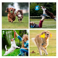 thumbnail image 5 of "20 Pcs Juguetes De Morder De Cuerda Para Perros Y Cachorros Belug Multicolor ", 5 of 5
