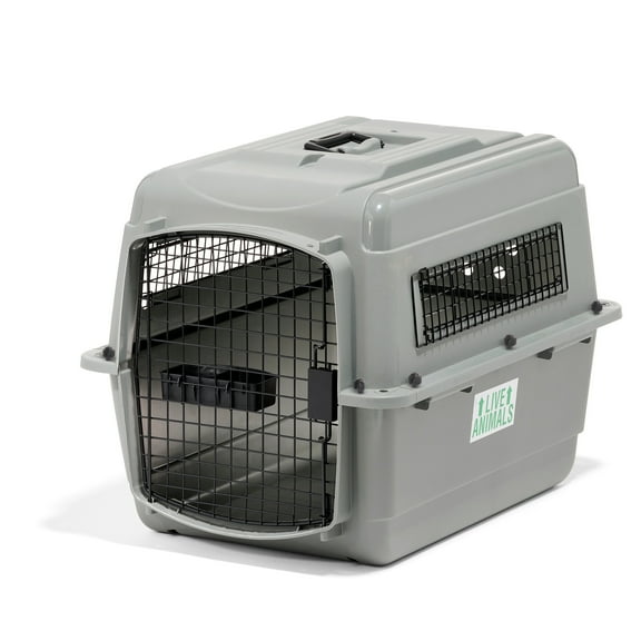 Petmate Sky Kennel for Dogs & Cats, IATA Approved, Plastic Travel Carrier, Gray, For Dogs & Cats 15-30 lbs, Small, 21" x 15" x 21"