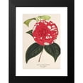 thumbnail image 2 of Charles Antoine Lemaire 18x24 Black Modern Framed Museum Art Print Titled - Camellia Giardino Santarelli (1854-1896), 2 of 5