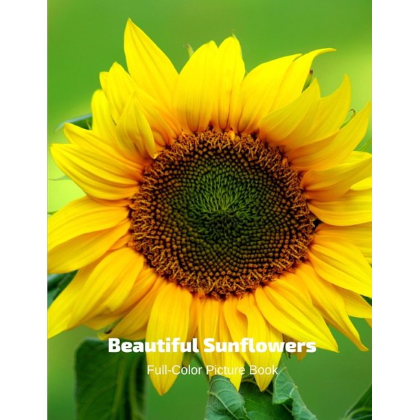 Beautiful Sunflowers FullColor Picture Book Sunflower Picture Book