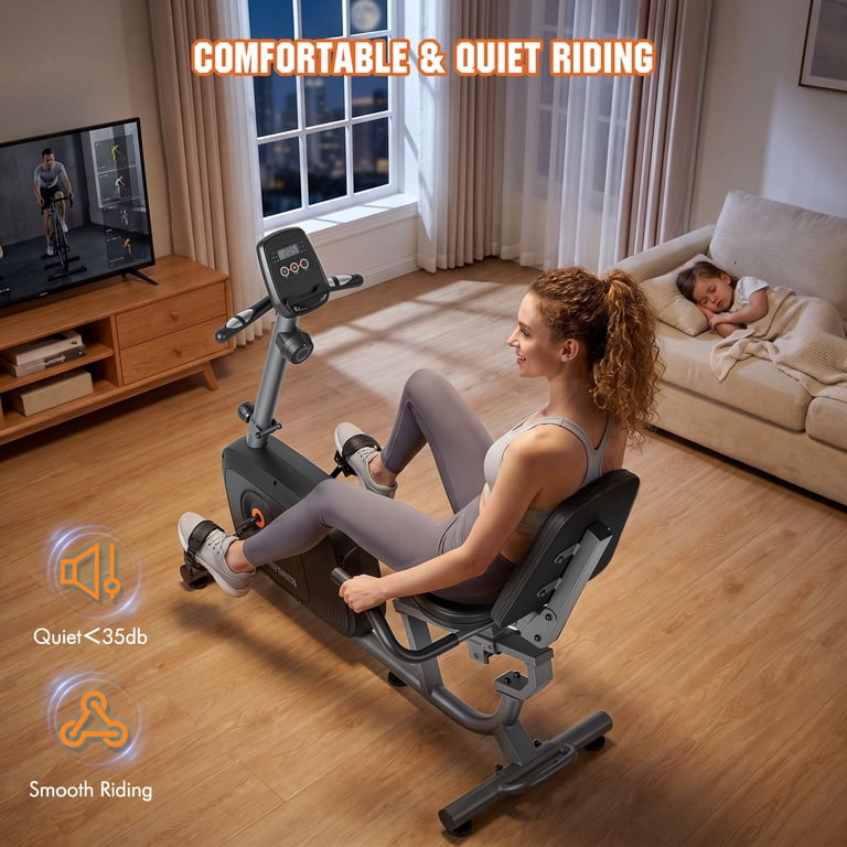 Naipo Recumbent Exercise Bike, 300 Lb Capacity photo 8