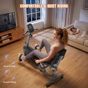 Naipo Recumbent Exercise Bike Stationary Bike 300LBS Weight Capacity Indoor Exercise Bike for Seniors with 16 Levels Magnetic Resistance with LCD Monitor Heart Rate Handle for Home